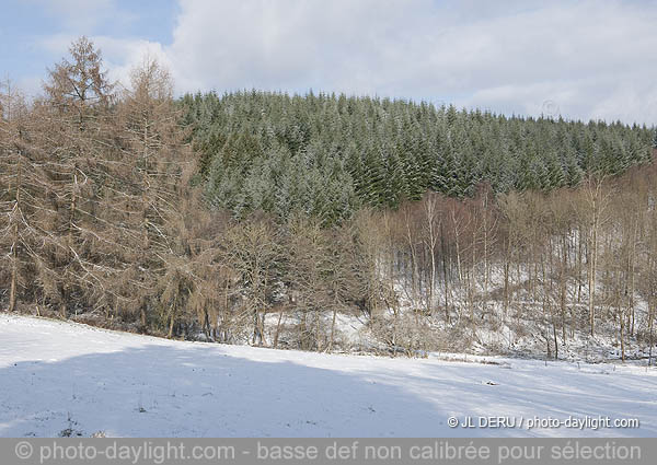 paysage hivernal  / winter landscape